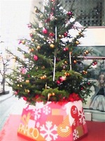 http://osake.torebo-kichijoji.jp/image/xmas-thumbnail4.jpg